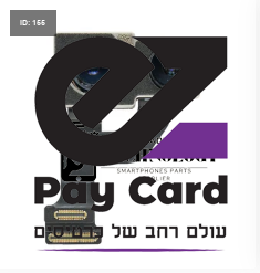 12 רגיל אחורי